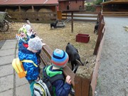 Výlet do svíčkárny Šestajovice